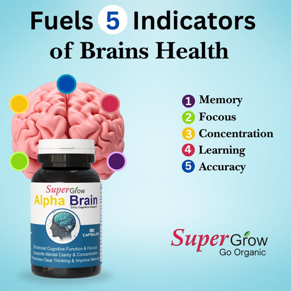 Alpha Brain Capsules
