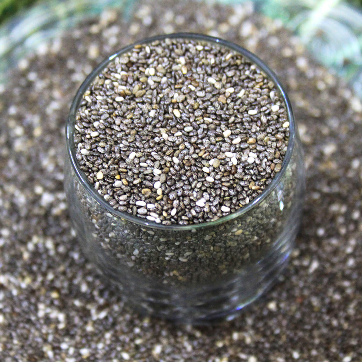 Chia Seeds