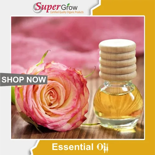 Rose Oil روغن گلاب پھول 002
